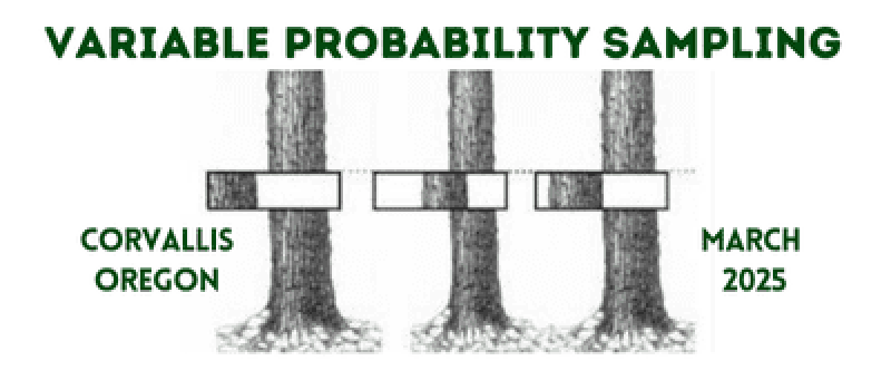 Copy of Pathways (400 x 200 px)