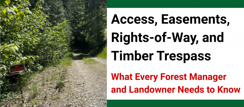 Forest law event card